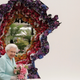 Image for article titled Peeking Inside the Hectic Floral Heaven of the Chelsea Flower Show